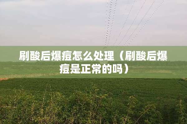 刷酸后爆痘怎么处理（刷酸后爆痘是正常的吗）