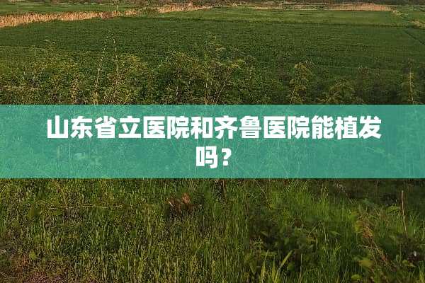 山东省立医院和齐鲁医院能植发吗？