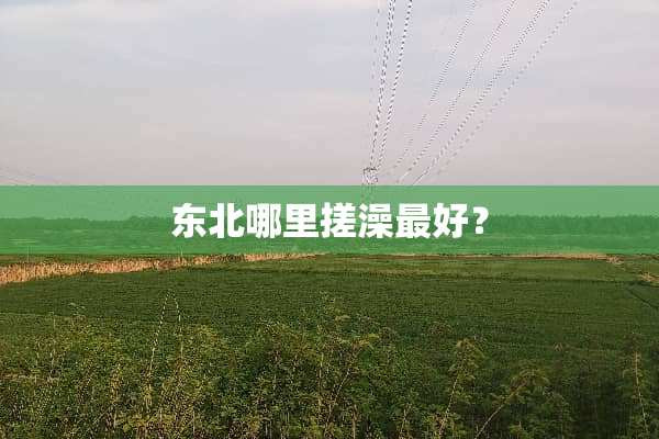 东北哪里搓澡最好？