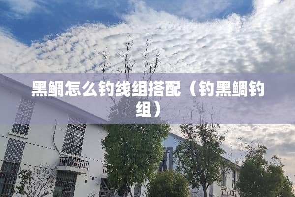 黑鲷怎么钓线组搭配（钓黑鲷钓组）