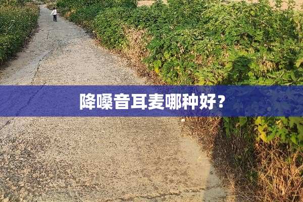 降嗓音耳麦哪种好？