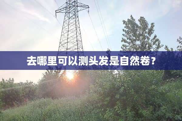 去哪里可以测头发是自然卷？