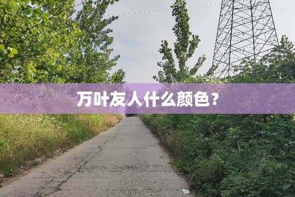万叶友人什么颜色？
