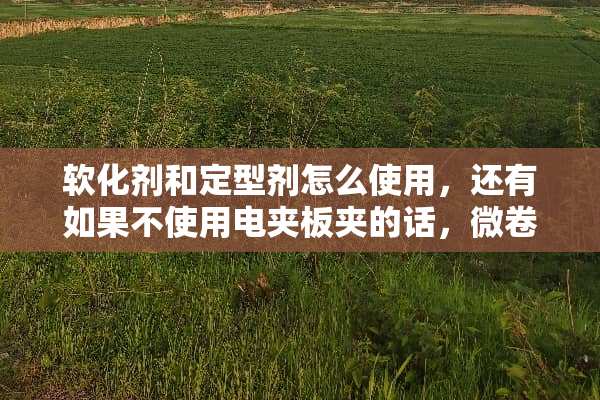 软化剂和定型剂怎么使用，还有如果不使用电夹板夹的话，微卷的头发可以变直保持多久？