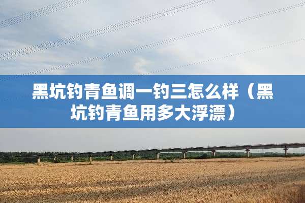 黑坑钓青鱼调一钓三怎么样（黑坑钓青鱼用多大浮漂）