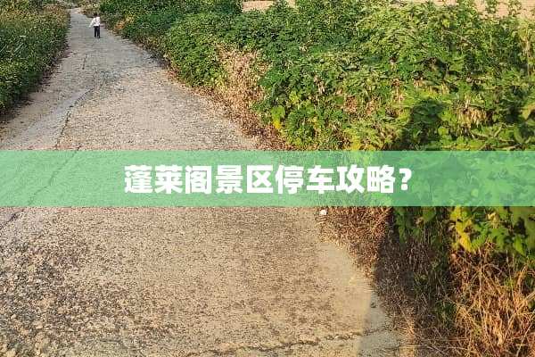 蓬莱阁景区停车攻略？
