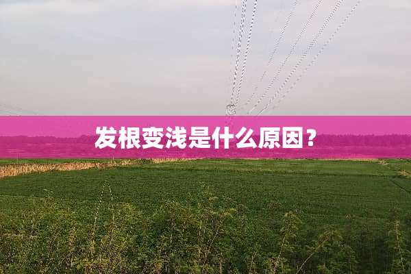 发根变浅是什么原因？