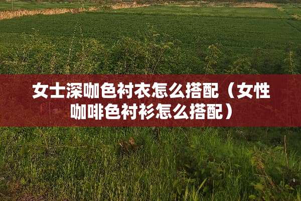女士深咖色衬衣怎么搭配（女性咖啡色衬衫怎么搭配）
