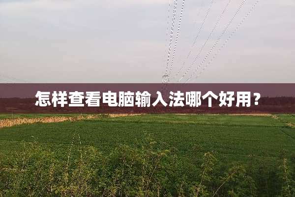 怎样查看电脑输入法哪个好用？