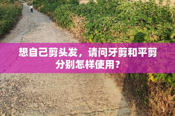 想自己剪头发，请问牙剪和平剪分别怎样使用？
