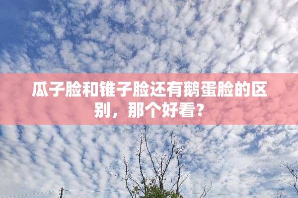 瓜子脸和锥子脸还有鹅蛋脸的区别，那个好看？