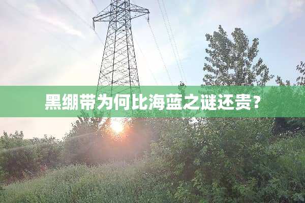 黑绷带为何比海蓝之谜还贵？