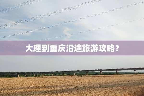 大理到重庆沿途旅游攻略？