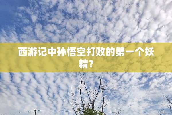 西游记中孙悟空打败的第一个妖精？