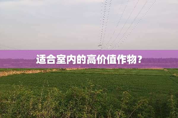 适合室内的高价值作物？