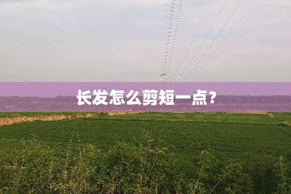 长发怎么剪短一点？