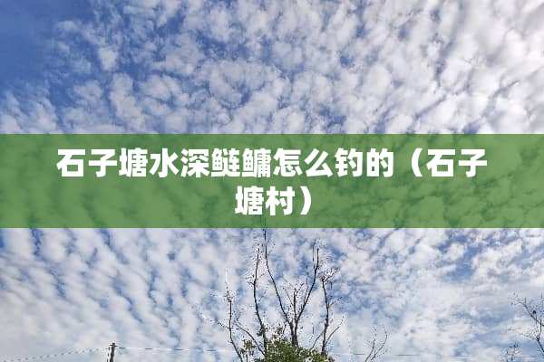 石子塘水深鲢鳙怎么钓的（石子塘村）