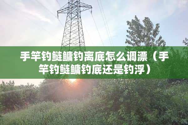 手竿钓鲢鳙钓离底怎么调漂（手竿钓鲢鳙钓底还是钓浮）