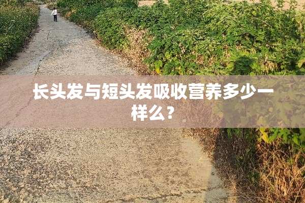 长头发与短头发吸收营养多少一样么？