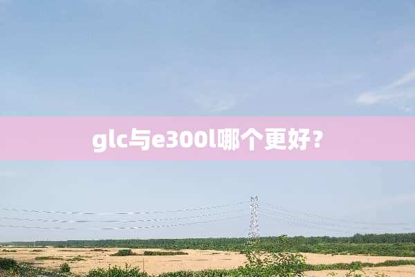 glc与e300l哪个更好？