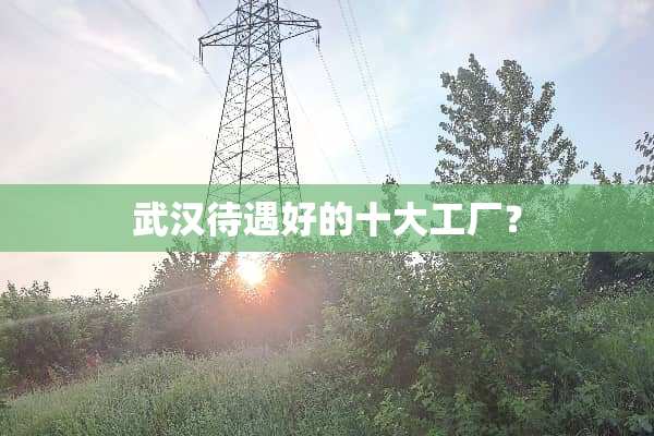 武汉待遇好的十大工厂？