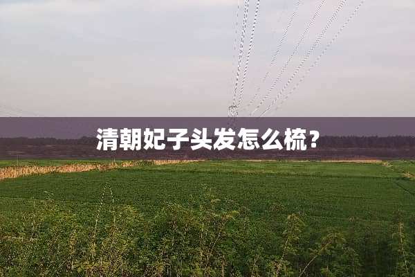 清朝妃子头发怎么梳？