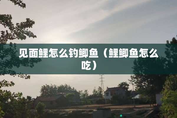 见面鲤怎么钓鲫鱼（鲤鲫鱼怎么吃）