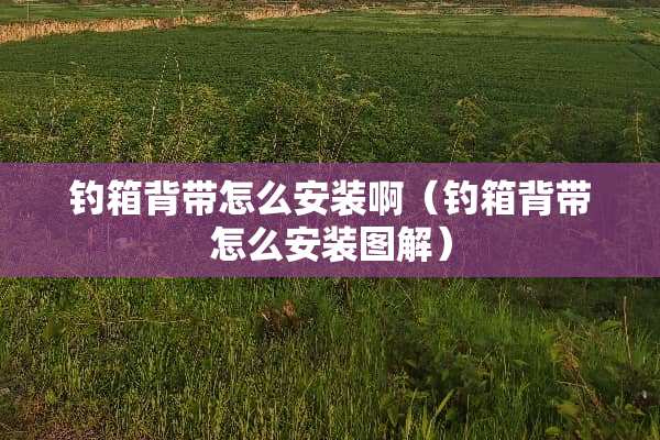 钓箱背带怎么安装啊（钓箱背带怎么安装图解）