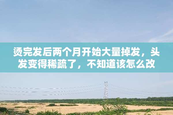 烫完发后两个月开始大量掉发，头发变得稀疏了，不知道该怎么改善？