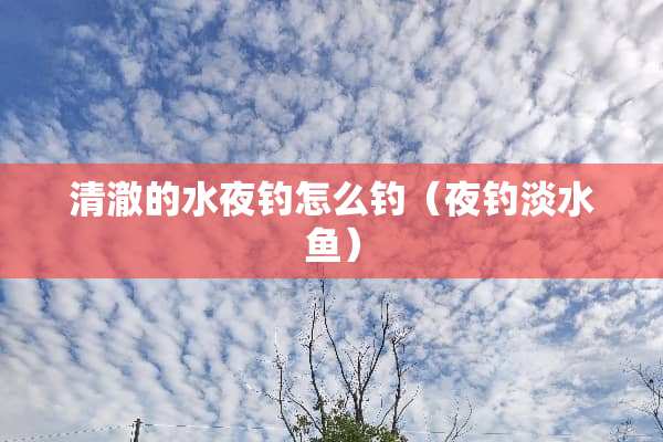清澈的水夜钓怎么钓（夜钓淡水鱼）