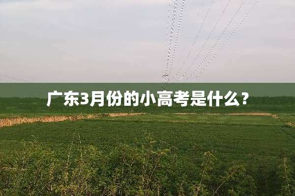 广东3月份的小高考是什么？