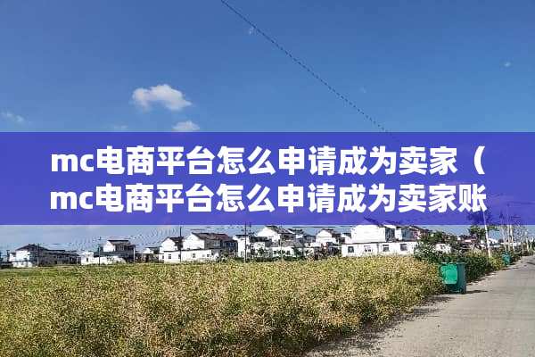 mc电商平台怎么申请成为卖家（mc电商平台怎么申请成为卖家账户）