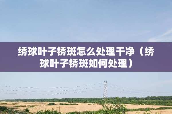 绣球叶子锈斑怎么处理干净（绣球叶子锈斑如何处理）