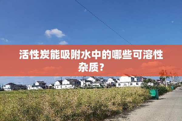 活性炭能吸附水中的哪些可溶性杂质？