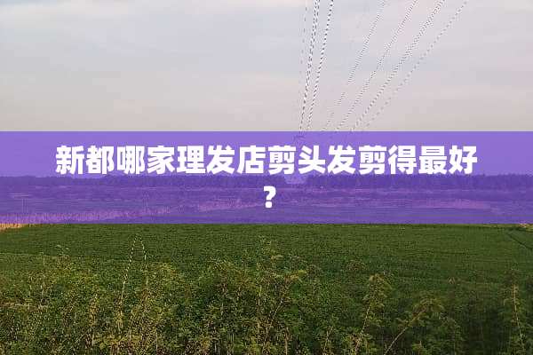 新都哪家理发店剪头发剪得最好？