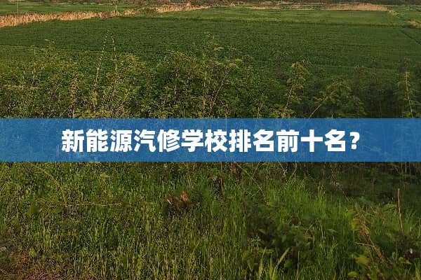 新能源汽修学校排名前十名？
