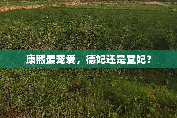 康熙最宠爱，德妃还是宜妃？