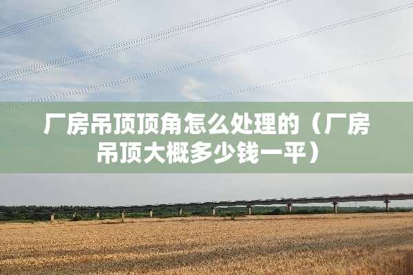 厂房吊顶顶角怎么处理的（厂房吊顶大概多少钱一平）