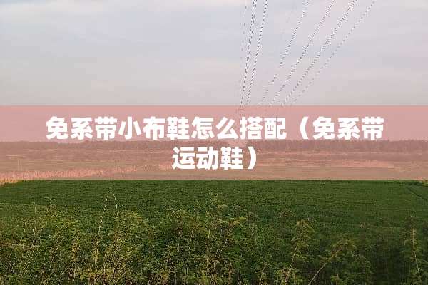 免系带小布鞋怎么搭配（免系带运动鞋）