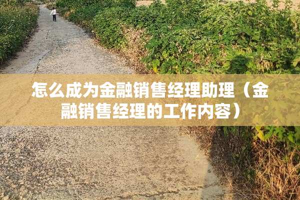 怎么成为金融销售经理助理（金融销售经理的工作内容）