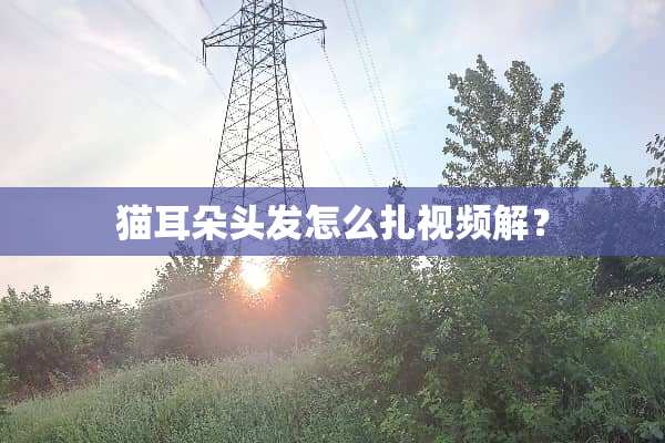 猫耳朵头发怎么扎视频解？