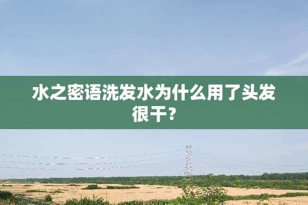 水之密语洗发水为什么用了头发很干？