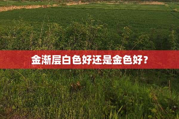 金渐层白色好还是金色好？