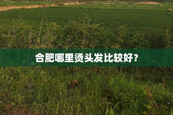 合肥哪里烫头发比较好？