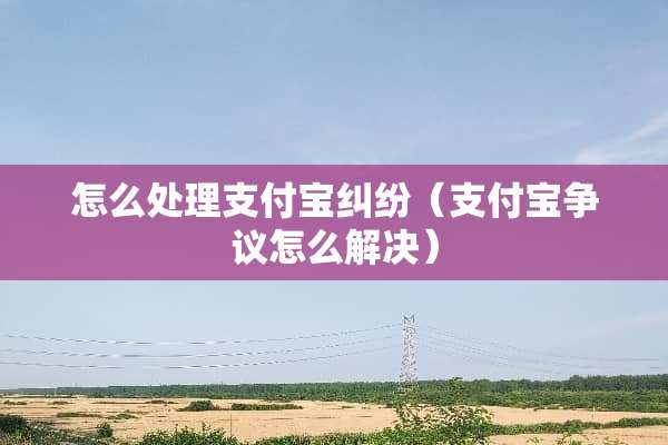 怎么处理支付宝纠纷（支付宝争议怎么解决）