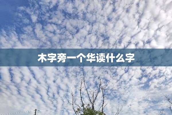 木字旁一个华读什么字