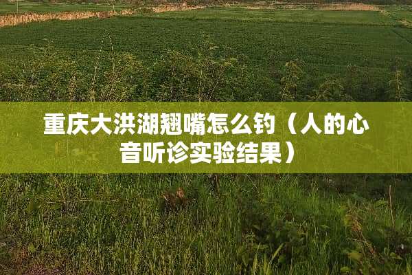 重庆大洪湖翘嘴怎么钓（人的心音听诊实验结果）