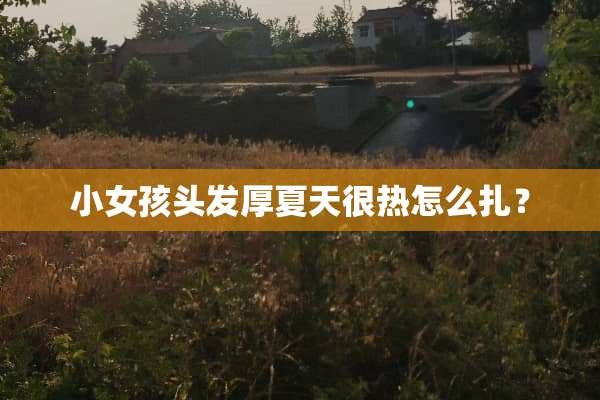 小女孩头发厚夏天很热怎么扎？