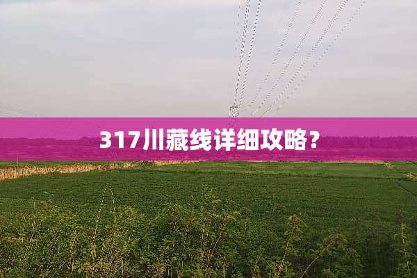 317川藏线详细攻略？