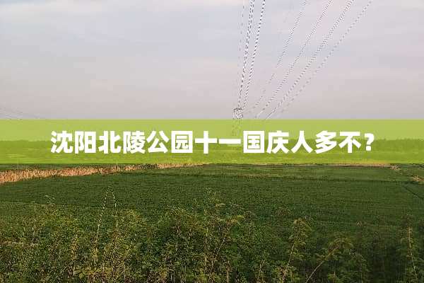 沈阳北陵公园十一国庆人多不？